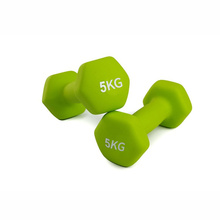 Sporting Equipment 5kg Dumbbell for Home Fitness